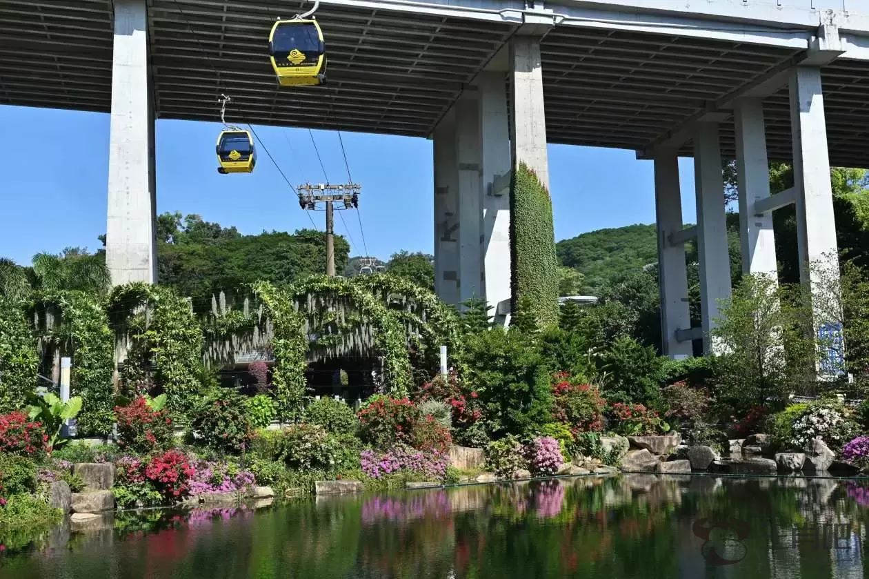 广东广州：探营云萝植物园插图4