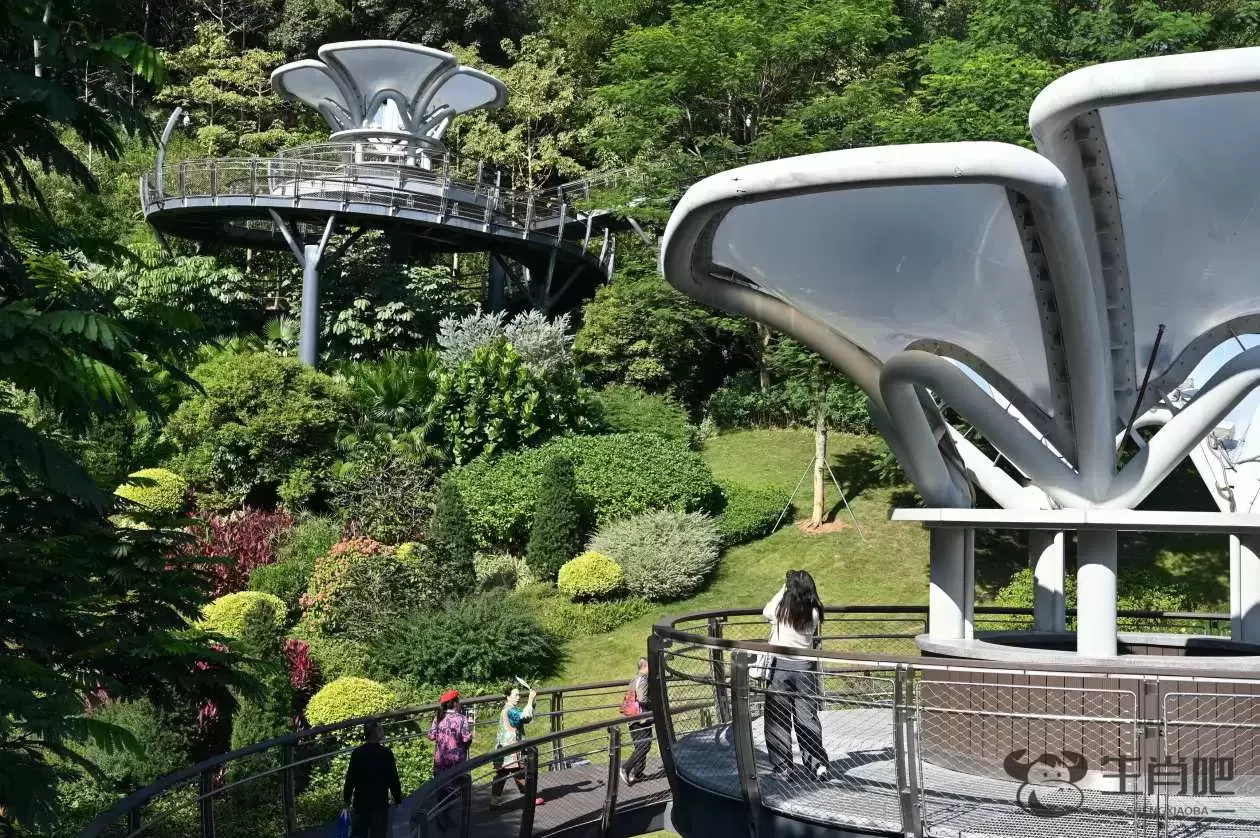 广东广州：探营云萝植物园插图5