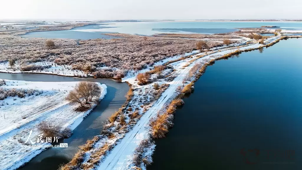 新疆呼图壁：雪后初霁 湿地如画插图