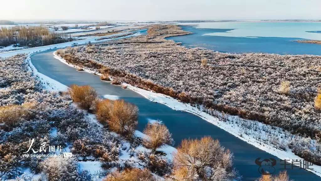 新疆呼图壁：雪后初霁 湿地如画插图1