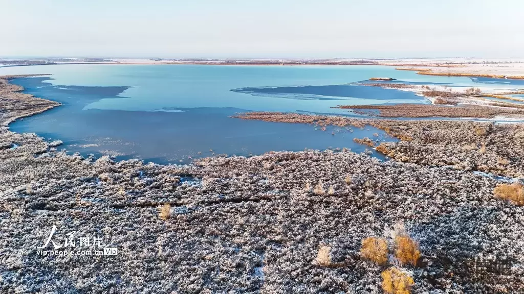 新疆呼图壁：雪后初霁 湿地如画插图2