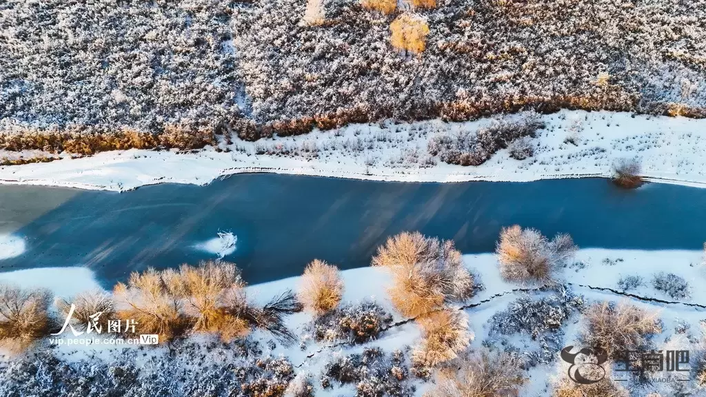 新疆呼图壁：雪后初霁 湿地如画插图3