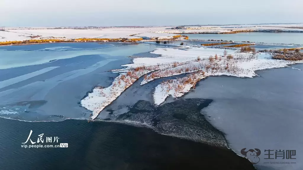 新疆呼图壁：雪后初霁 湿地如画插图5