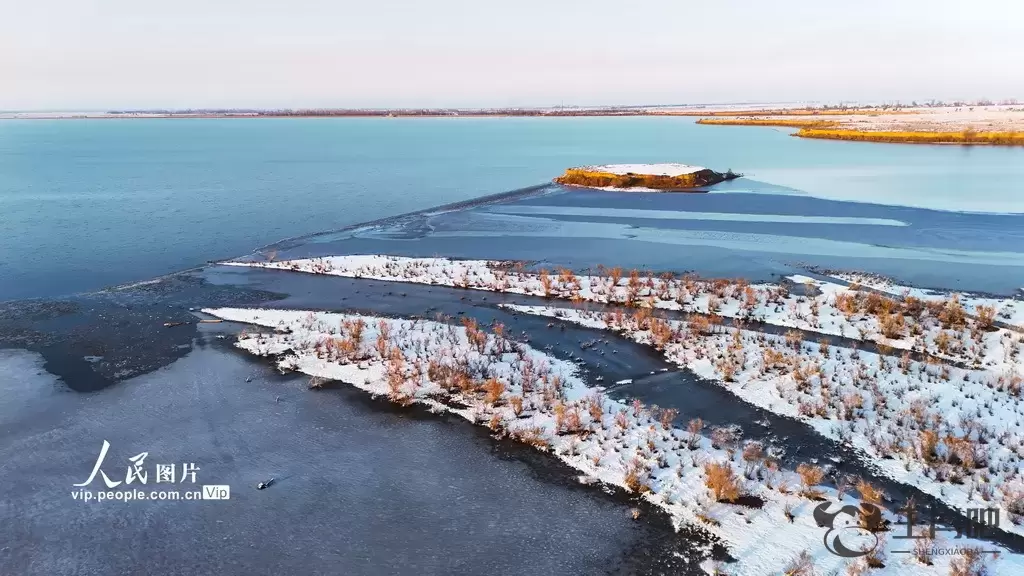 新疆呼图壁：雪后初霁 湿地如画插图6