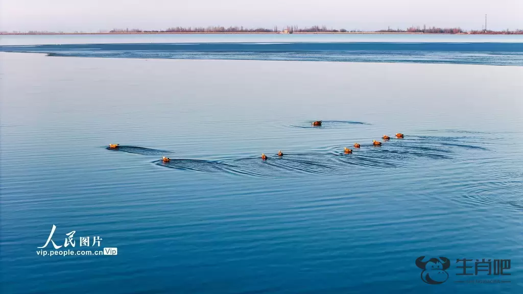 新疆呼图壁：雪后初霁 湿地如画插图8