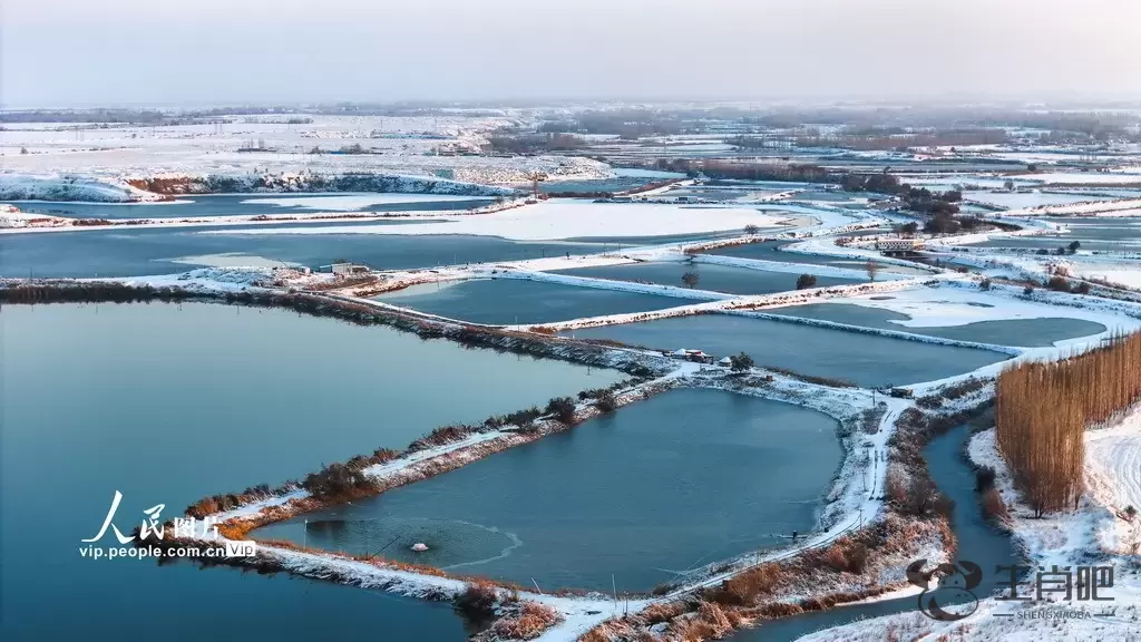 新疆呼图壁：雪后初霁 湿地如画插图9