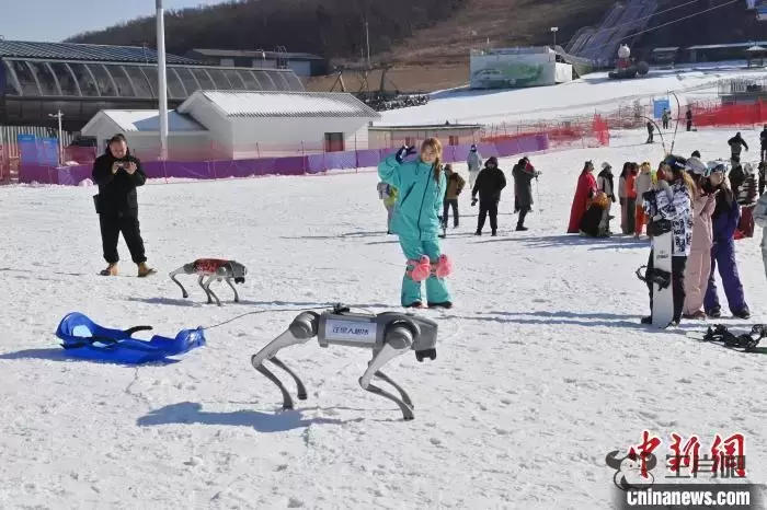 吉林长春：机器狗上岗 服务雪场游客插图4