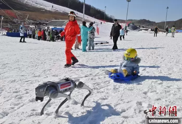 吉林长春：机器狗上岗 服务雪场游客插图6