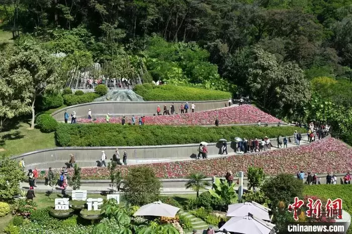 广东广州：云萝植物园开园迎客插图3