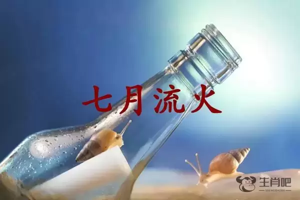 七月流火是什么生肖插图