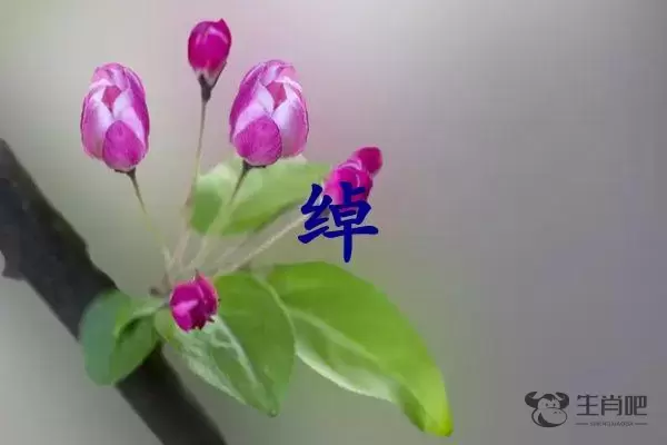 绰字打一生肖（绰字是什么生肖）插图