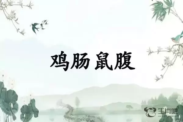 鸡肠鼠腹是什么生肖插图