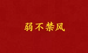 弱不禁风