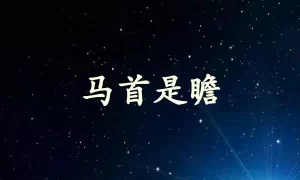 马首是瞻