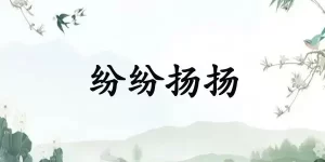 纷纷扬扬