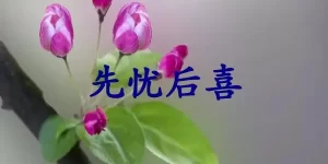 先忧后喜