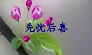 先忧后喜