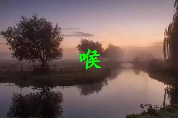 喉字打一生肖（喉字是什么生肖）插图