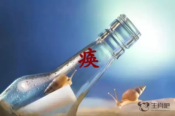 痪字打一生肖（痪字是什么生肖）插图