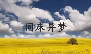 同床异梦