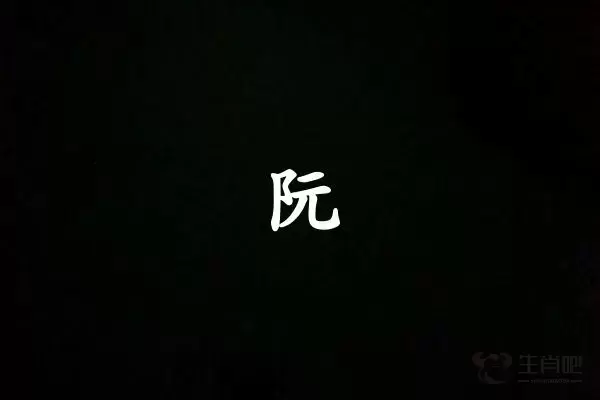 阮字打一生肖（阮字是什么生肖）插图