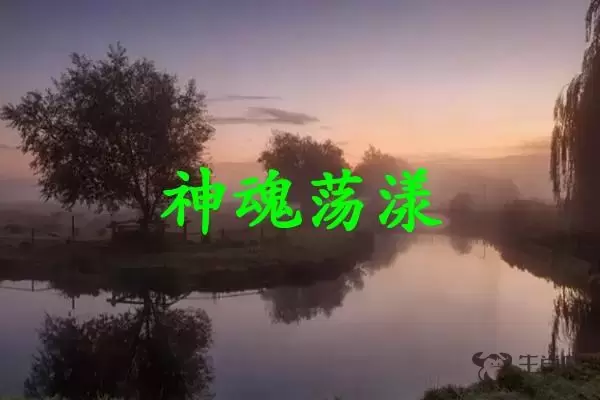 神魂荡漾是什么生肖插图