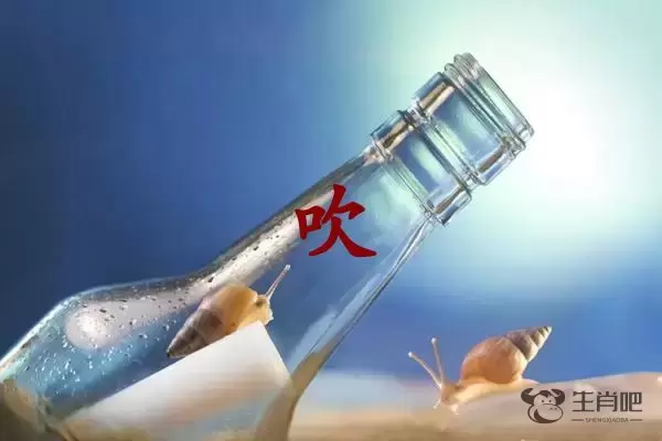 吹字打一生肖（吹字是什么生肖）插图