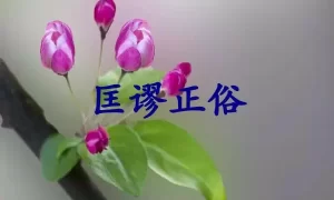 匡谬正俗