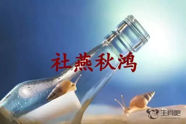 社燕秋鸿是什么生肖插图