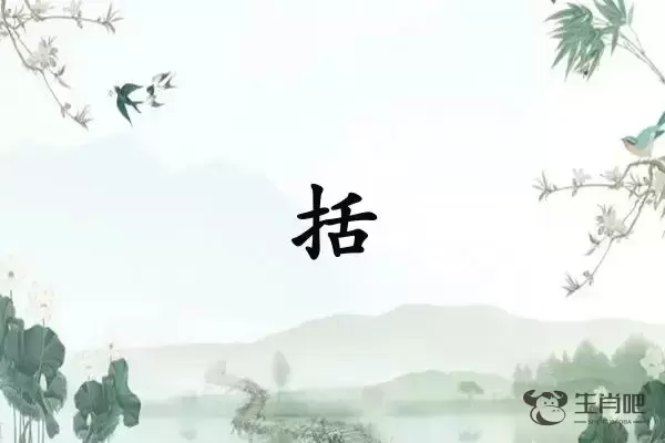 括字打一生肖（括字是什么生肖）插图