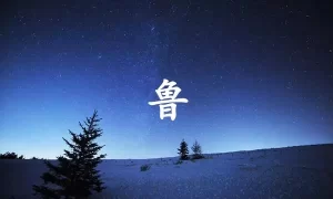 鲁