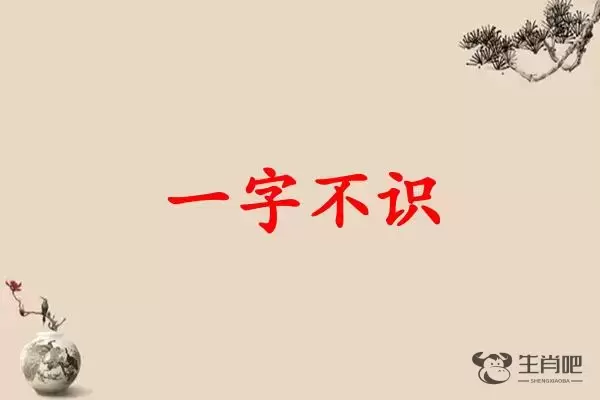 一字不识是什么生肖插图