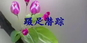 蹑足潜踪