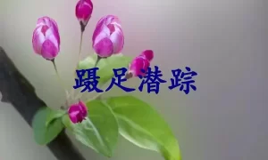 蹑足潜踪