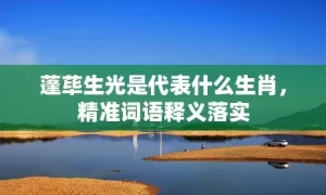 蓬荜生光是代表什么生肖，精准词语释义落实