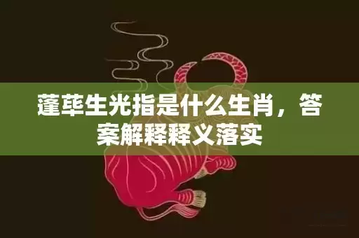 蓬荜生光指是什么生肖，答案解释释义落实插图