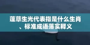 蓬荜生光代表指是什么生肖、标准成语落实释义