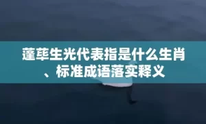 蓬荜生光代表指是什么生肖、标准成语落实释义