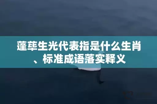 蓬荜生光代表指是什么生肖、标准成语落实释义插图