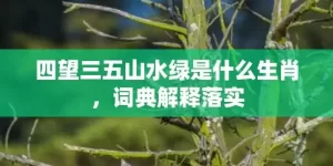 四望三五山水绿是什么生肖，词典解释落实