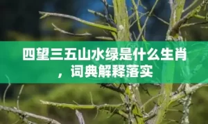 四望三五山水绿是什么生肖，词典解释落实