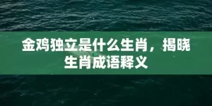 金鸡独立是什么生肖，揭晓生肖成语释义