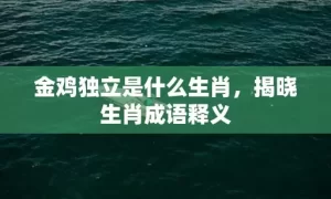 金鸡独立是什么生肖，揭晓生肖成语释义