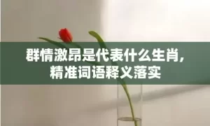 群情激昂是代表什么生肖,精准词语释义落实