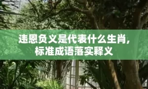 违恩负义是代表什么生肖,标准成语落实释义