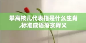 攀高枝儿代表指是什么生肖,标准成语落实释义