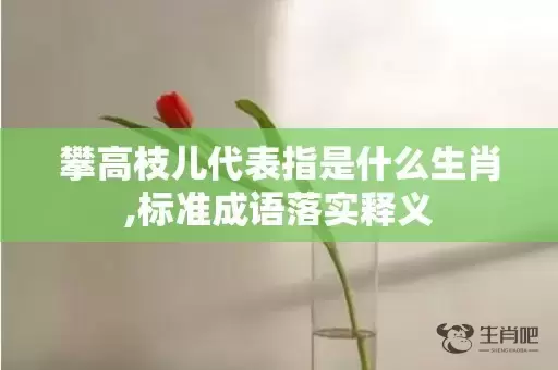 攀高枝儿代表指是什么生肖,标准成语落实释义插图