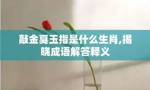 敲金戛玉指是什么生肖,揭晓成语解答释义