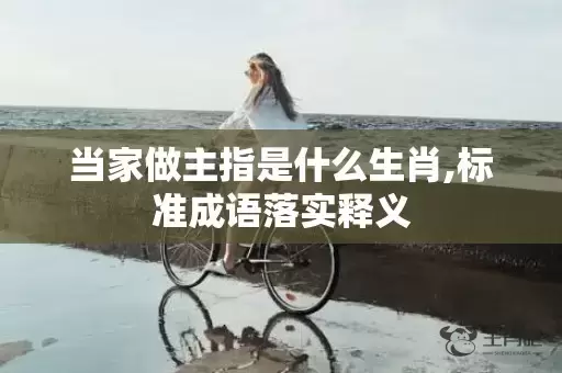 当家做主指是什么生肖,标准成语落实释义插图