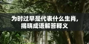 为时过早是代表什么生肖,揭晓成语解答释义